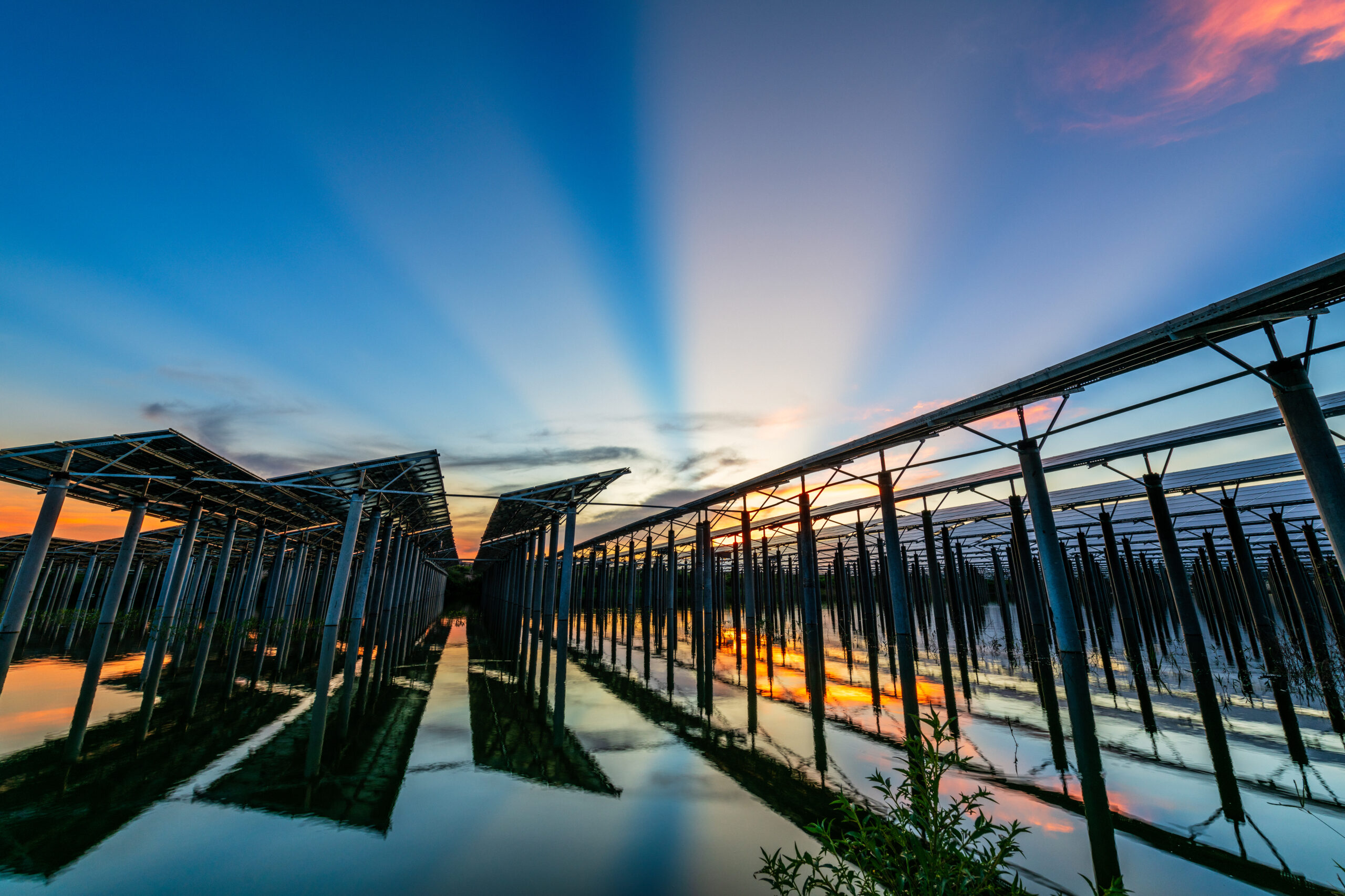 solar power panels in clean energy generating station