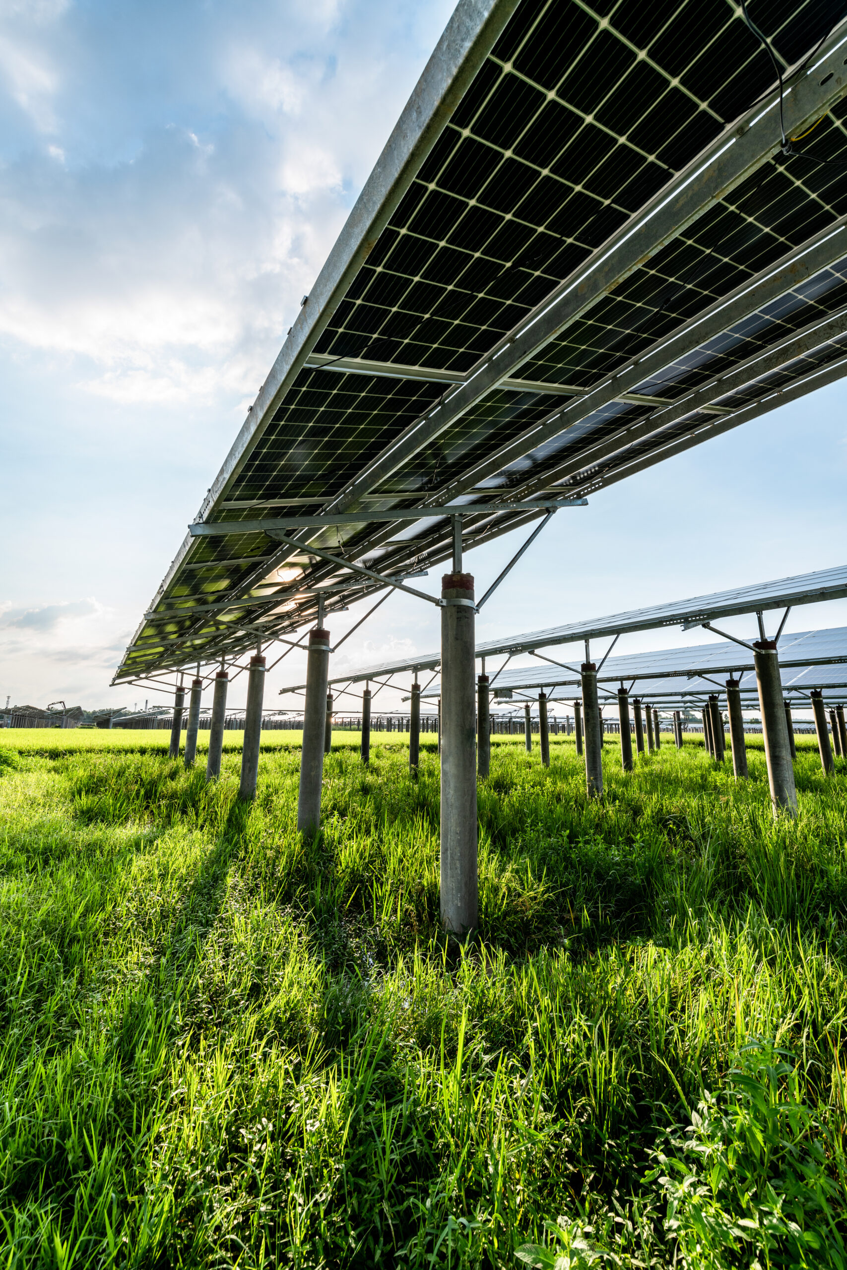Solar power plants and rice fields at dusk