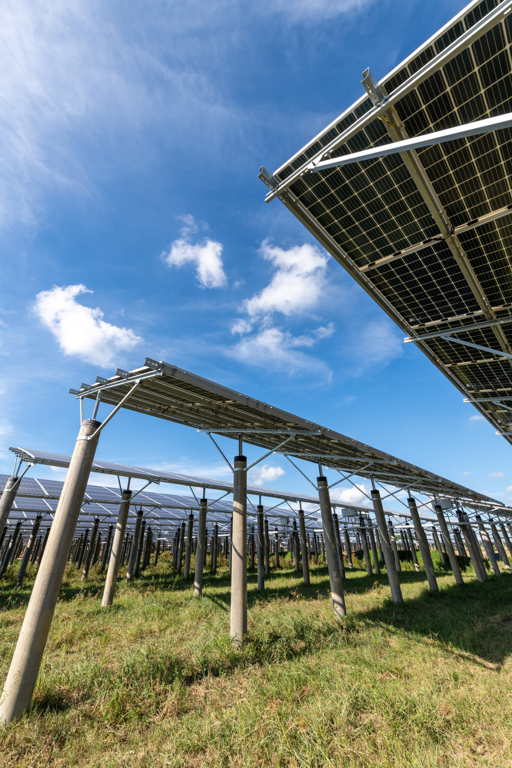Solar power plants and rice fields at dusk