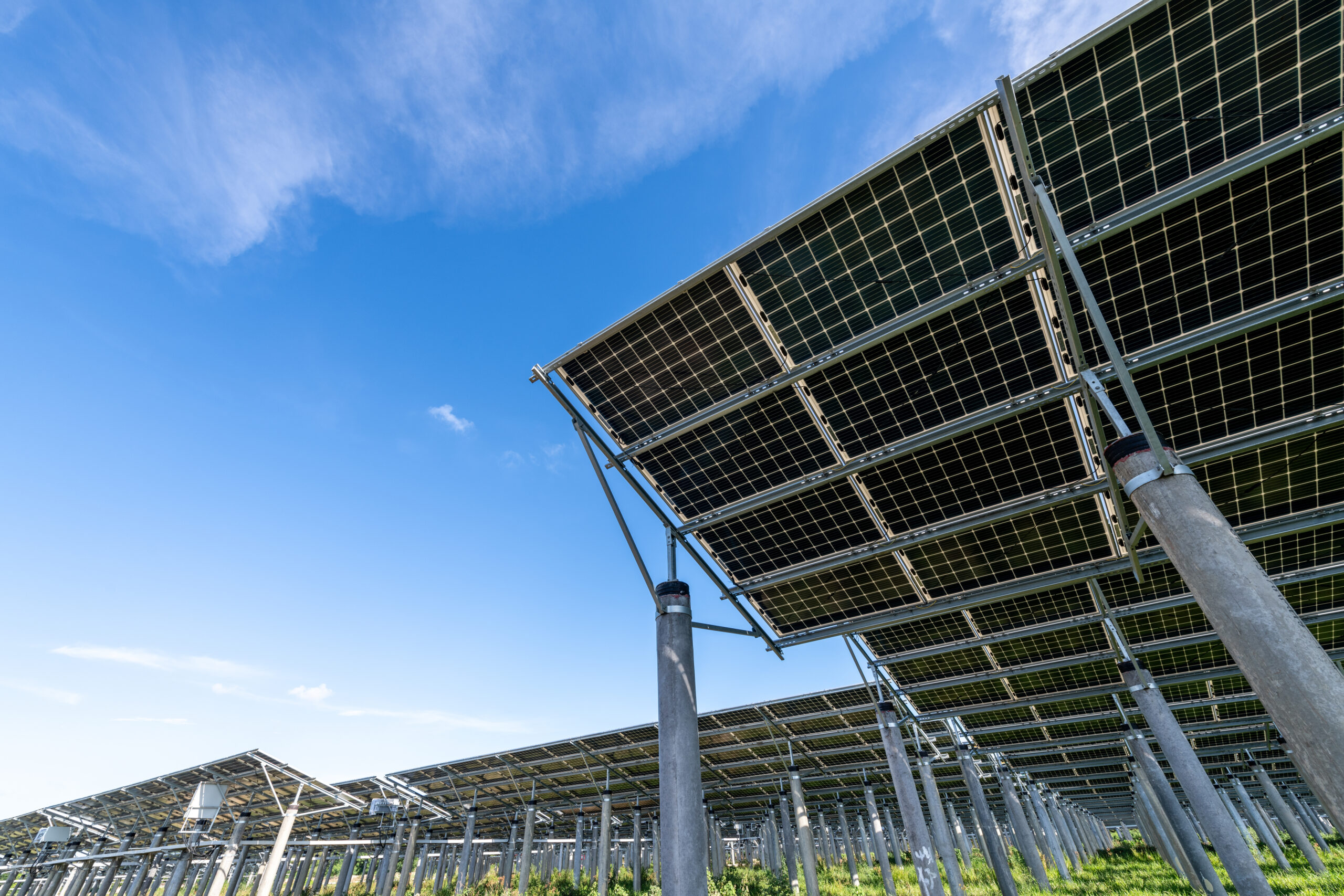 Solar power plants and rice fields at dusk